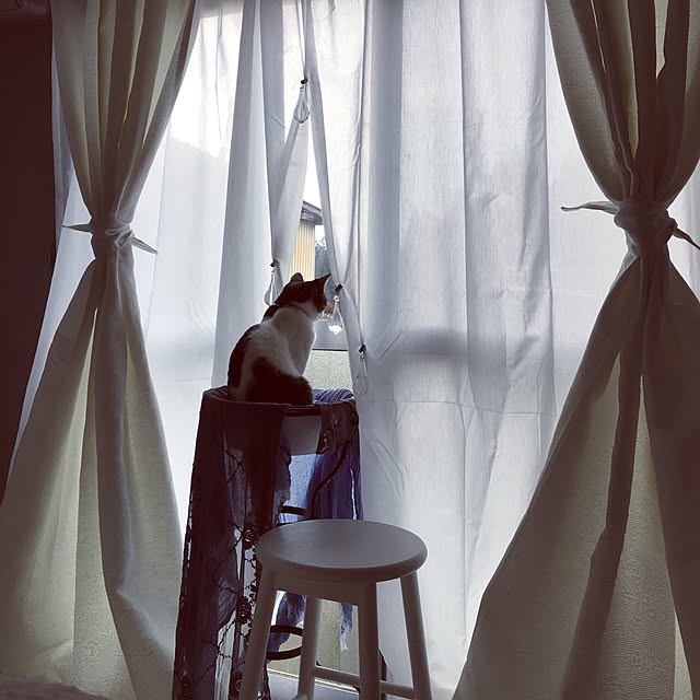 Shihoさんの実例写真