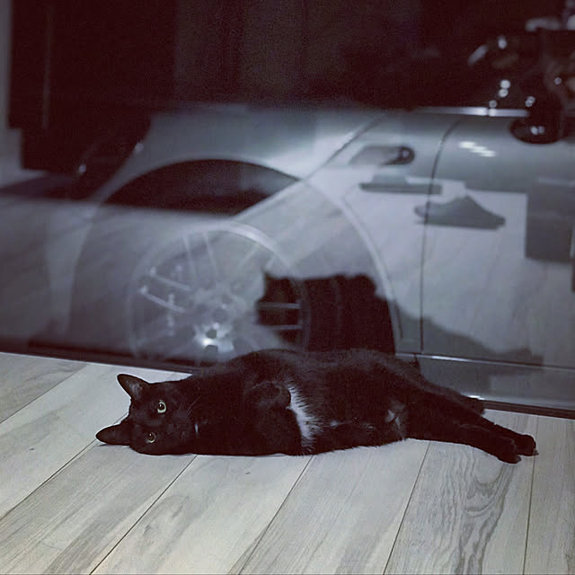 ginさんの実例写真