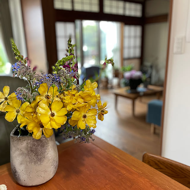 buchiさんの部屋