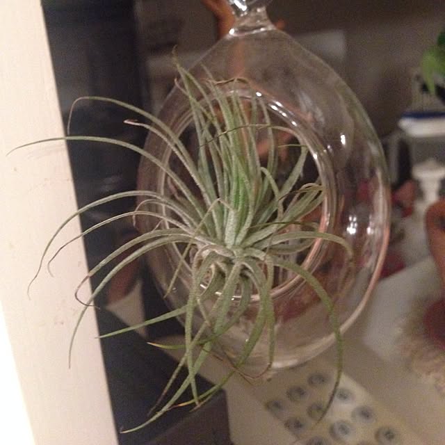 tintaさんの実例写真