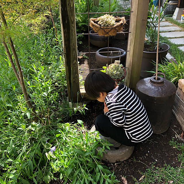 SATOさんの部屋