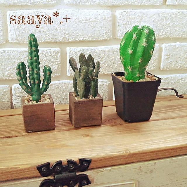 saayaさんの実例写真