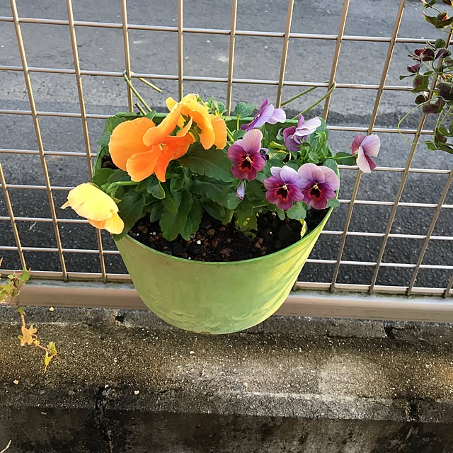 sanw2225719さんの実例写真