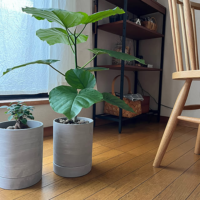 Kame345さんの実例写真