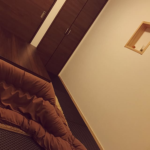 部屋全体/観葉植物/照明のインテリア実例 - 2017-04-04 12:15:25