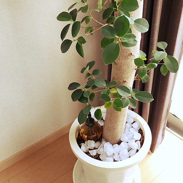 huwaleeinさんの実例写真