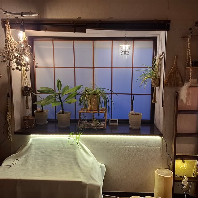 midoriさんの実例写真