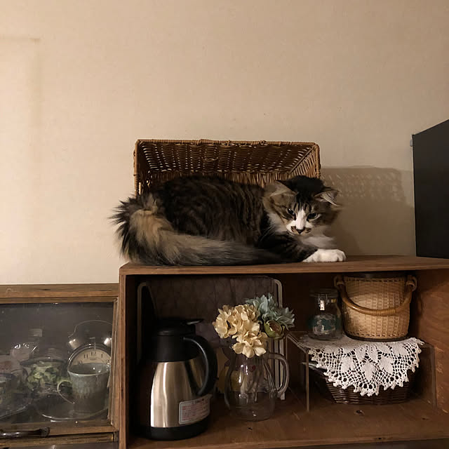 junbuさんの実例写真