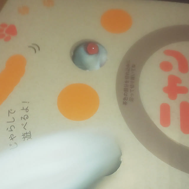 necoさんの実例写真