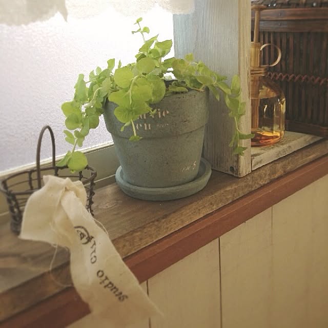 rookuさんの実例写真