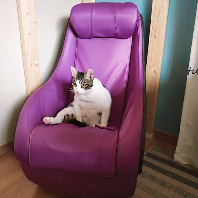 kirakirahikaruさんの実例写真