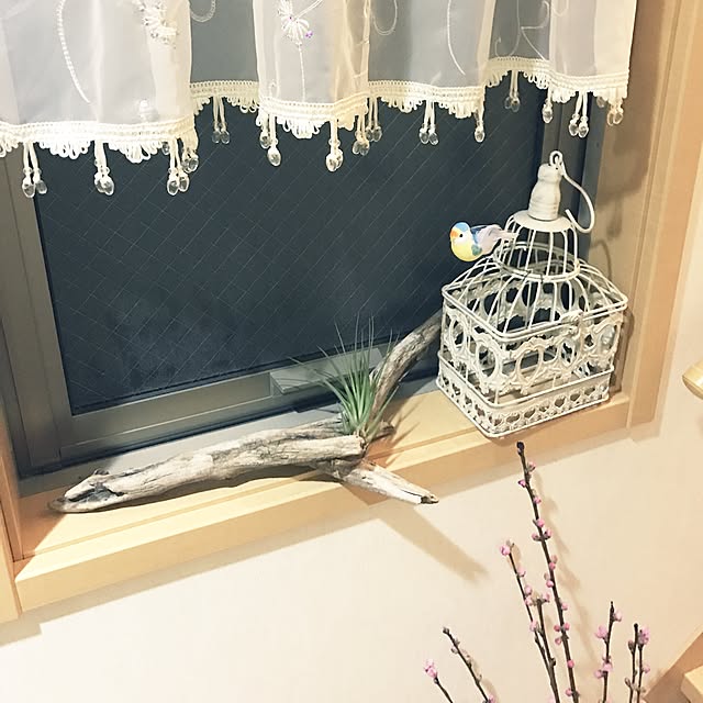 mayuさんの実例写真