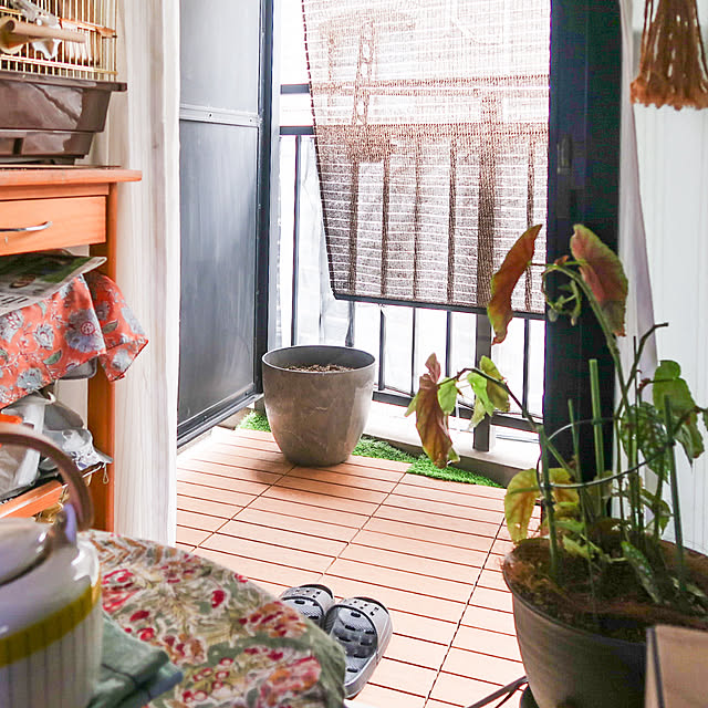 parrotさんの部屋