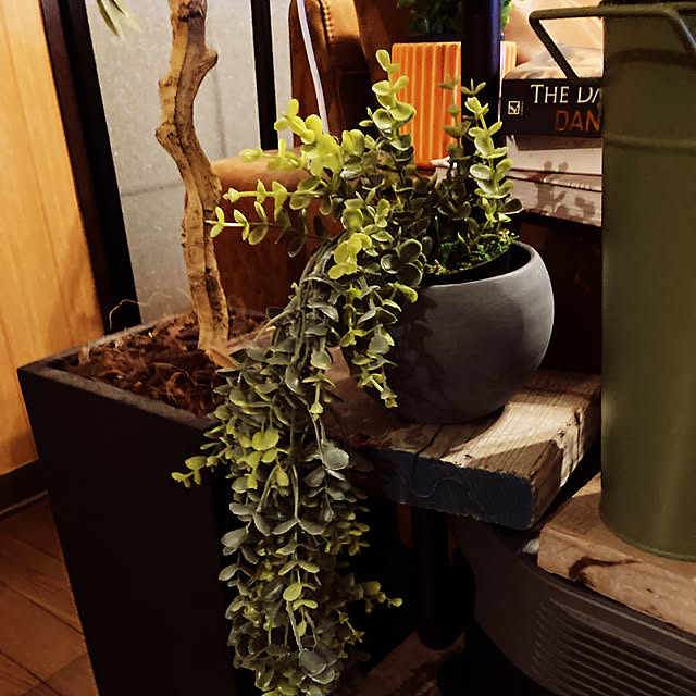 Tsuyoshiさんの部屋