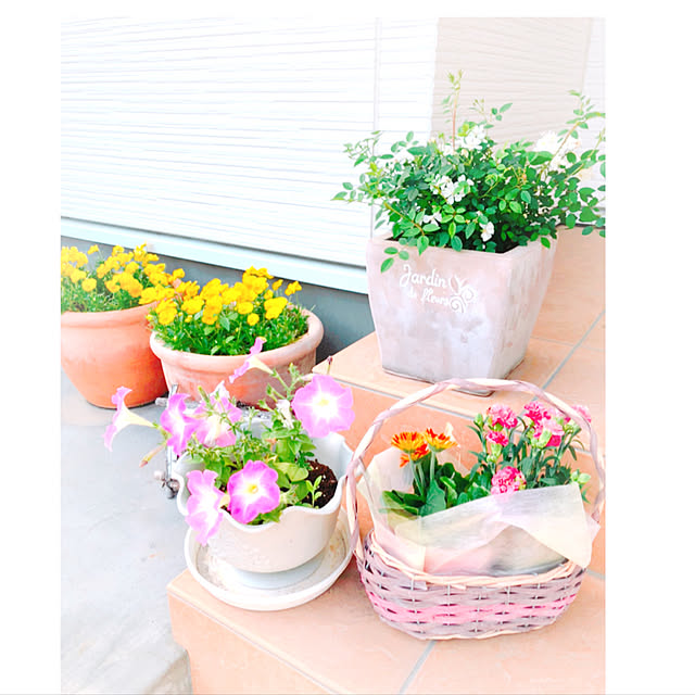 kinaさんの実例写真