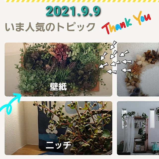 takoさんの実例写真