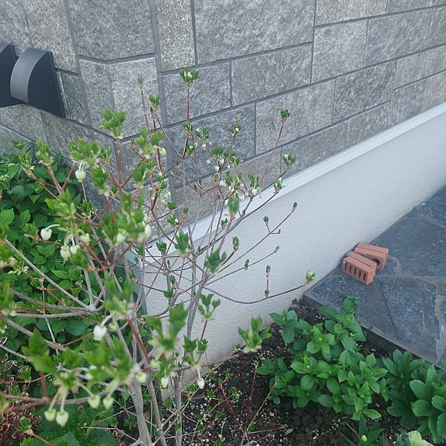 anmomaruさんの部屋