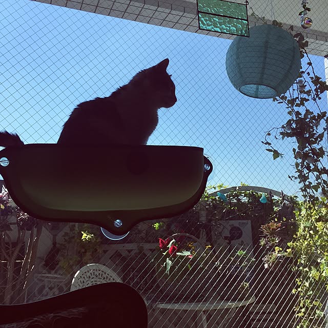 emmyyさんの実例写真