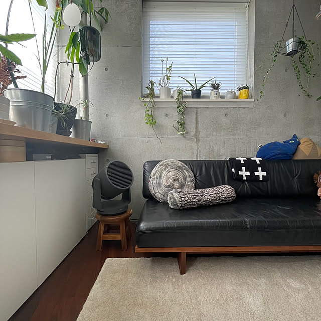 showheyheyさんの実例写真