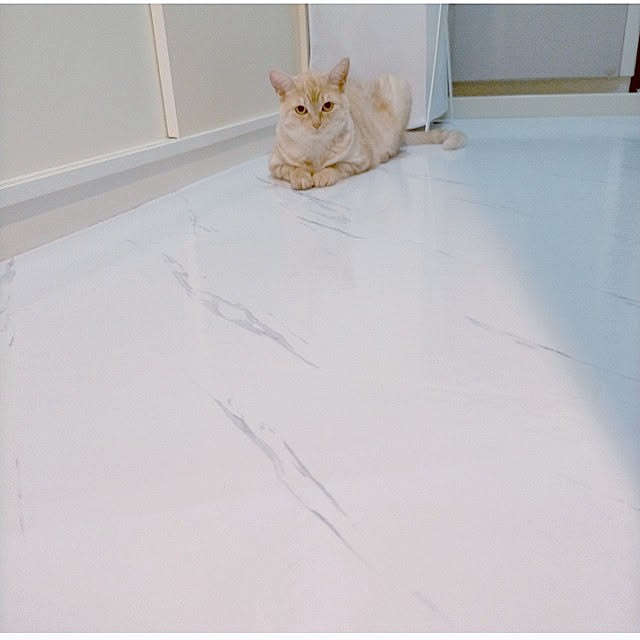 heart.emiemi57.whiteさんの実例写真