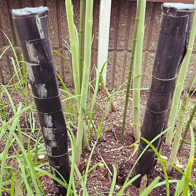 seiseiさんの部屋