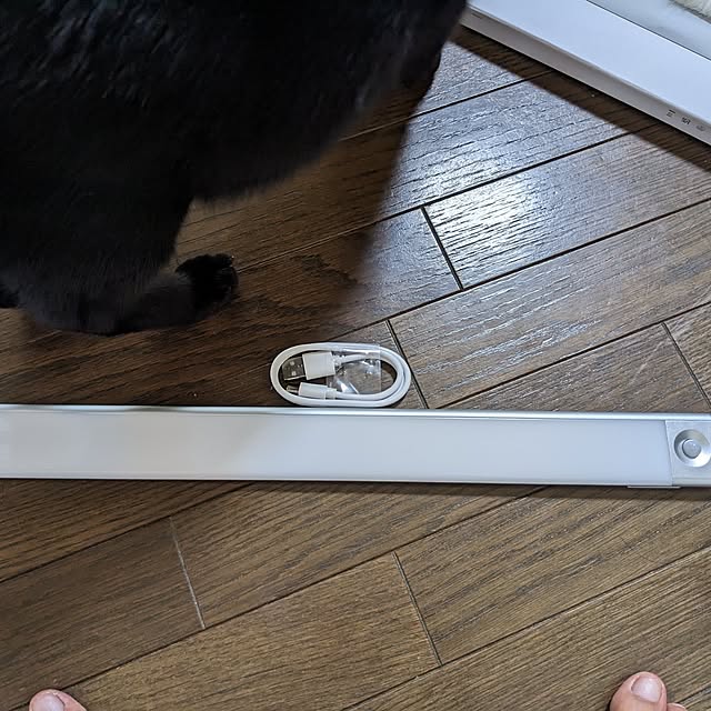 asaさんの実例写真