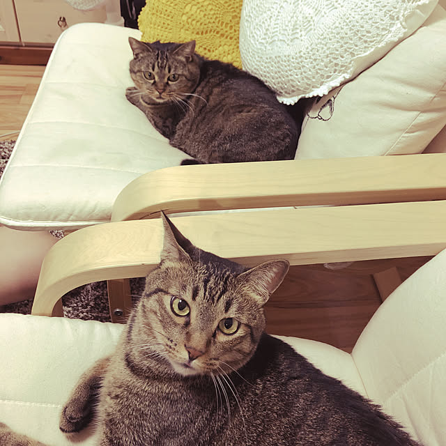 ringoandyuzuさんの実例写真