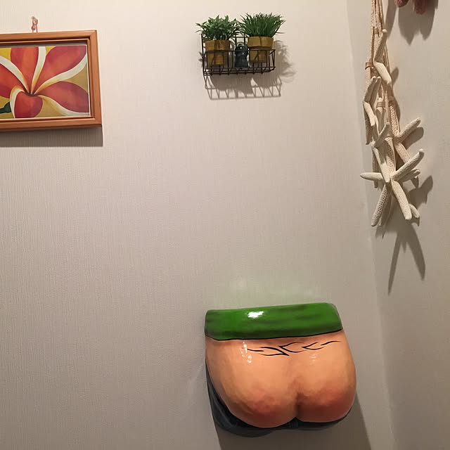 Miyakoさんの実例写真