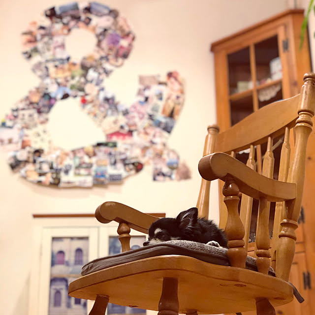 aokkoさんの実例写真