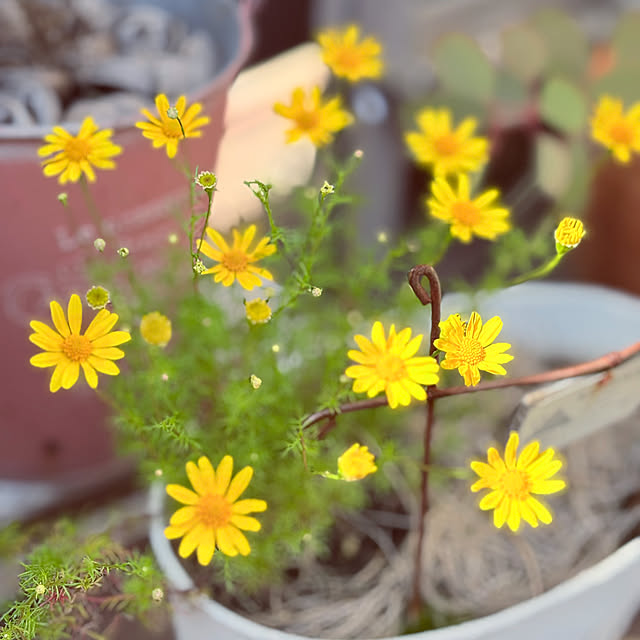 yukkoさんの部屋