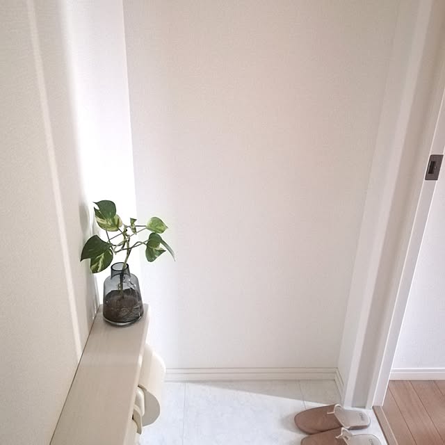 pinokoさんの実例写真