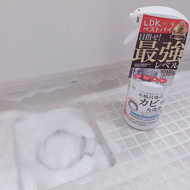 cocochiのネイチャーラボ-クリーンプラネット 洗濯槽のカビ丸洗浄 【縦型・ドラム式】 洗たく槽クリーナー 強力タイプ 【1回でカビ汚れ根こそぎゴッソリ】 99.9%除菌で部屋干し臭にもの家具・インテリア写真