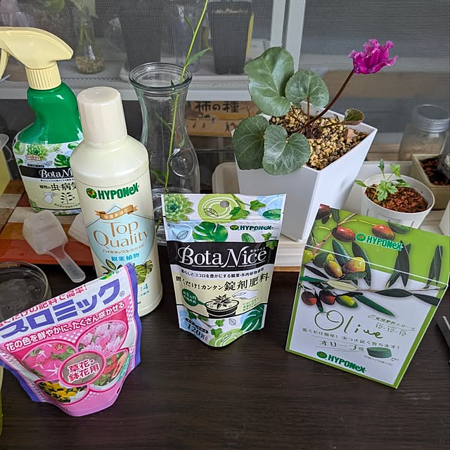mi-saさんの部屋
