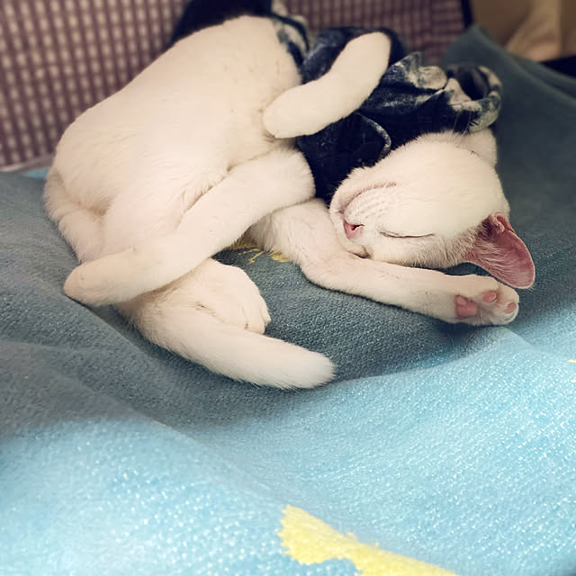 hanaさんの実例写真