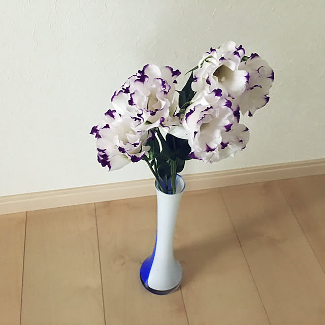 fuuuuさんの実例写真