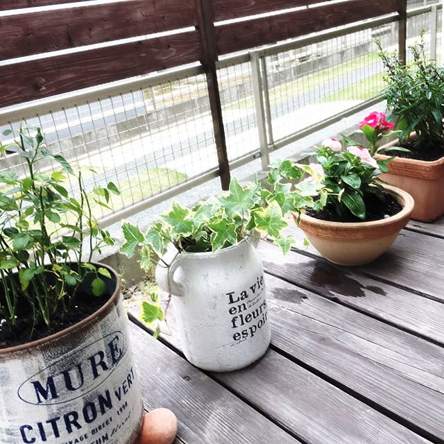 roseさんの実例写真