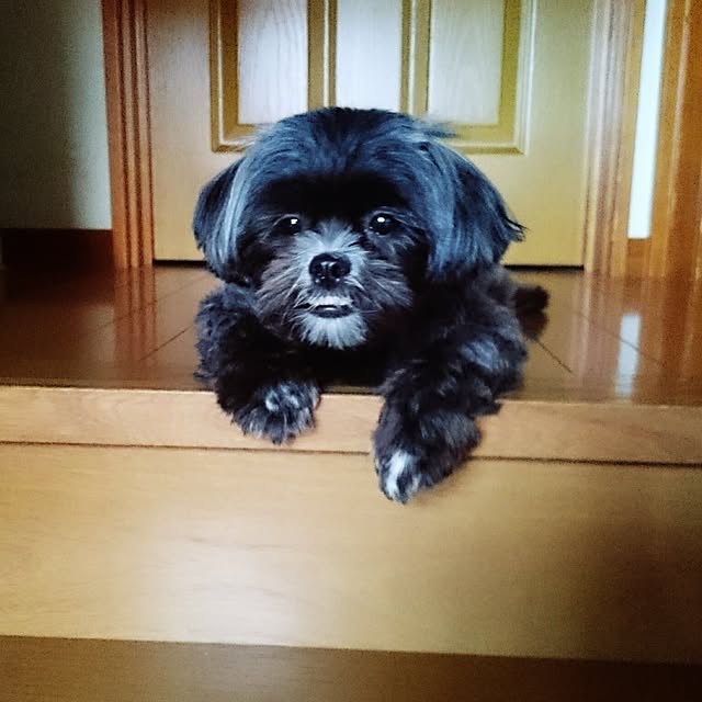 asaさんの実例写真