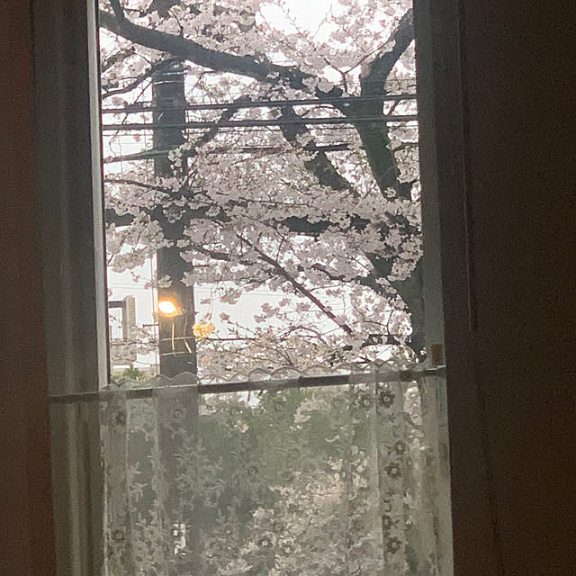 masakoさんの実例写真