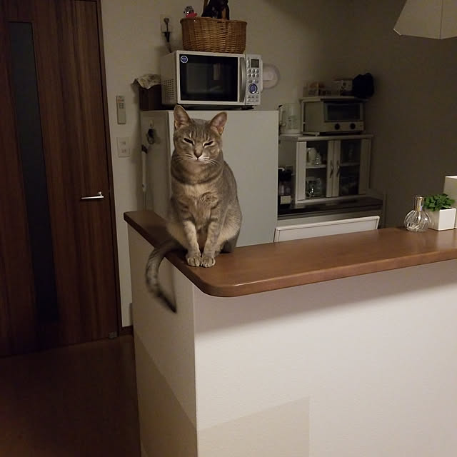 yukiさんの実例写真