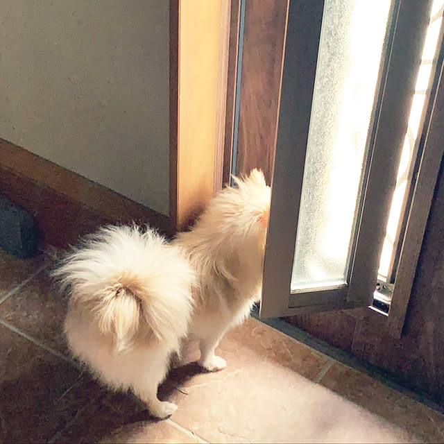 1546さんの実例写真