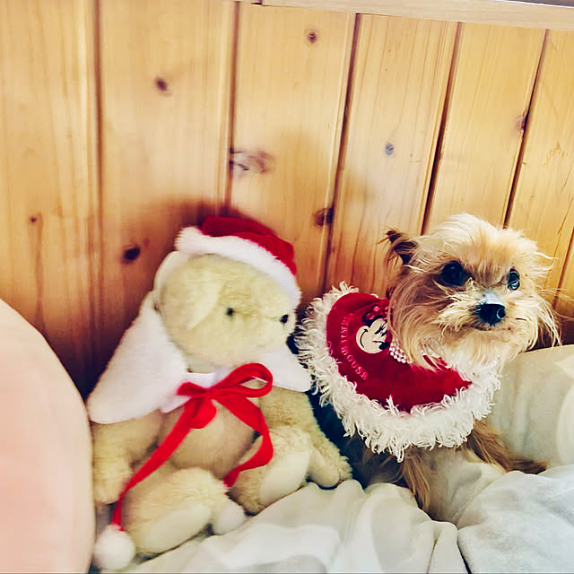 CoCo0617さんの実例写真