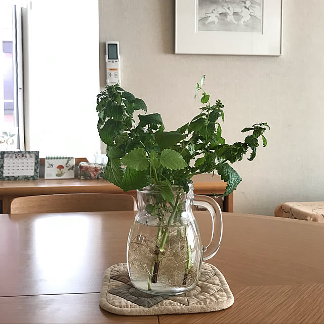 kikkoさんの実例写真
