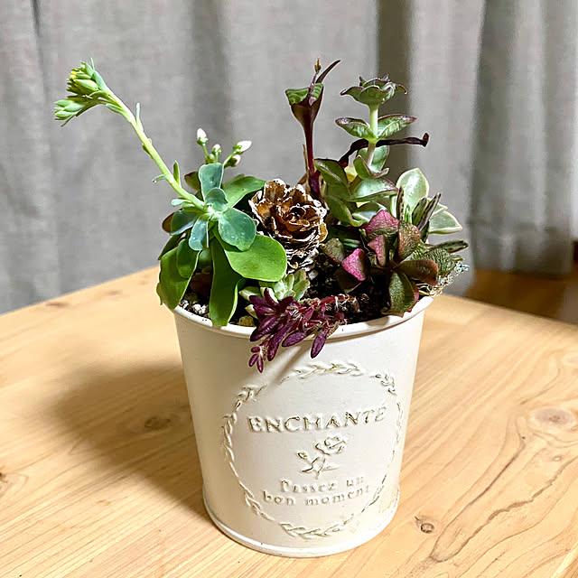 lu_daiさんの実例写真