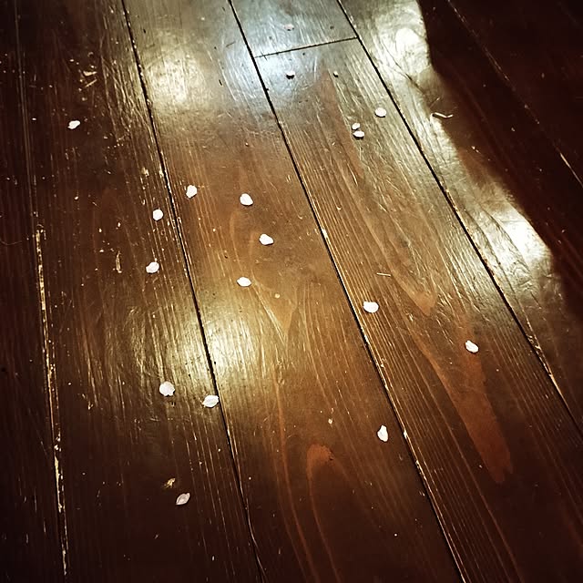 moccyan555さんの部屋