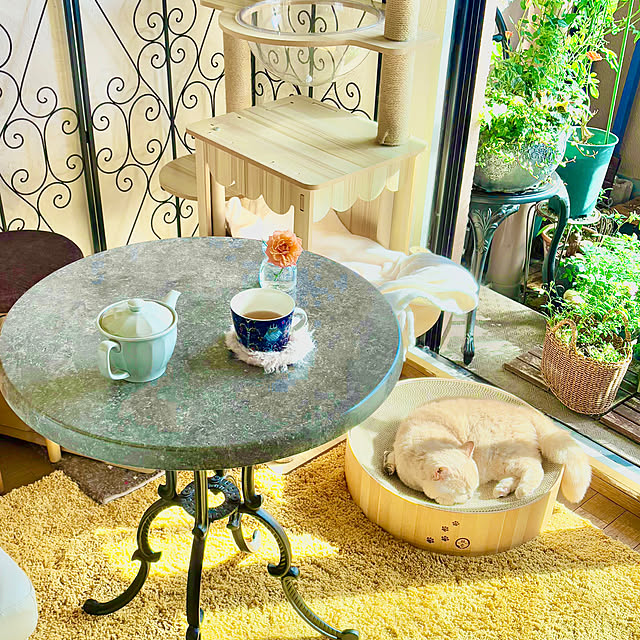 naokoさんの部屋