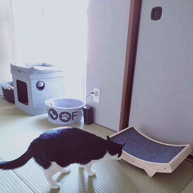 hihaさんの実例写真