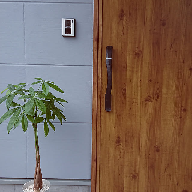 saikamaさんの実例写真