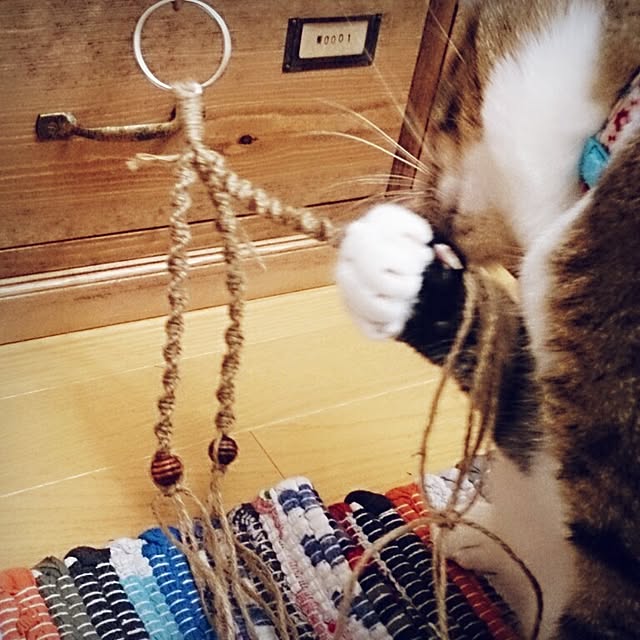 Lukiさんの実例写真