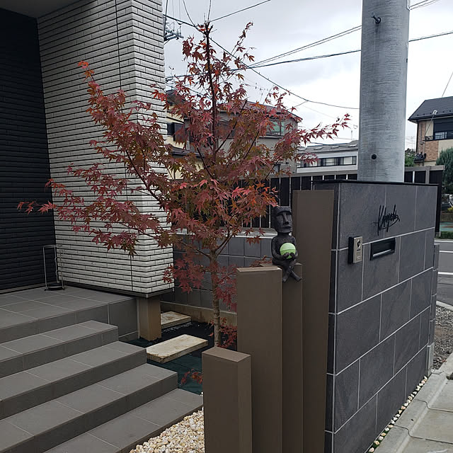 shifonさんの実例写真
