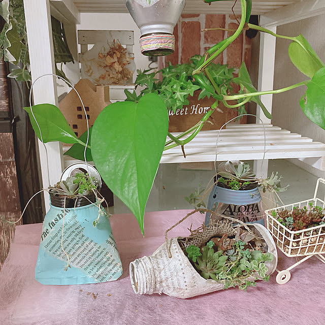 shoさんの実例写真